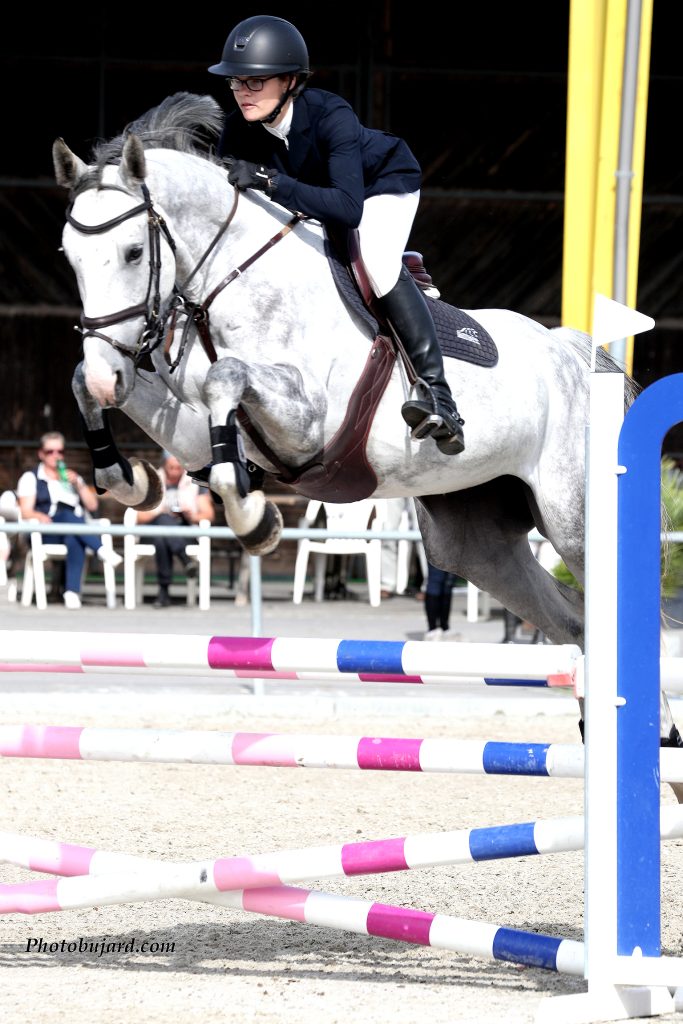 grey jumping horse